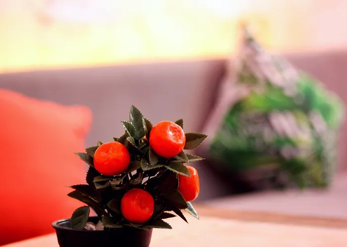 Hotell Viya Boutique