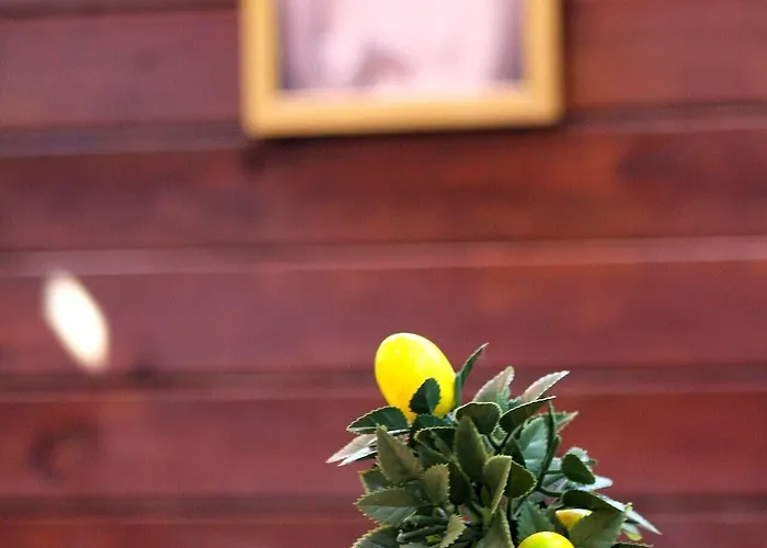 Hotell Viya Boutique Alaçatı