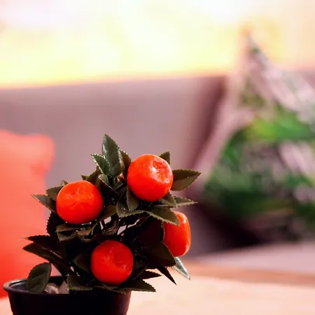 酒店 Viya Boutique