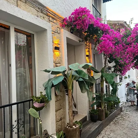 Viya Boutique * 알라카티